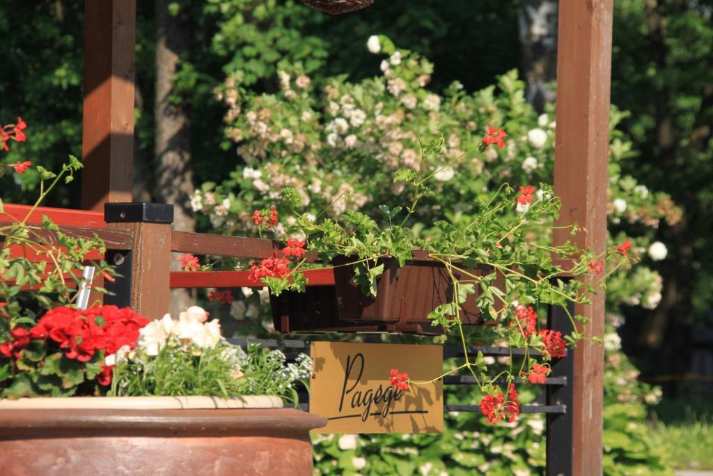 Sveciu Namai "Pagege" Bed & Breakfast Pagegiai Bagian luar foto